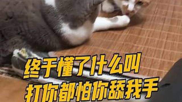 比巴掌先来的是山竹的香气