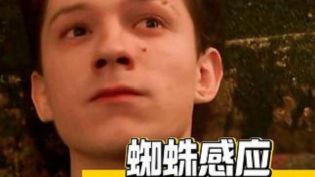不敢想这一刻小蜘蛛有多害怕