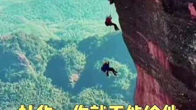那些唯粉，同不同意？快说，同不同意？