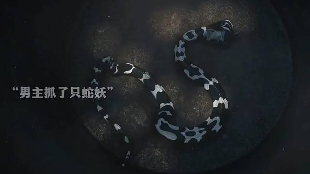 择日飞升开播笑点不断#择日飞升 #择日飞升动画开播
