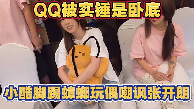 QQ被实锤是卧底 小酷脚踢玩偶嘲讽张开朗
