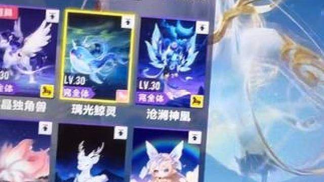 新起步神宠该不该抽？