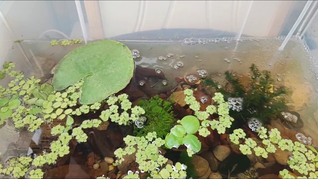 测试服