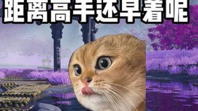 当你以为燕云上了无我就是高手