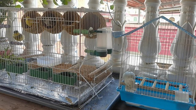 今天刚来了新伙伴
