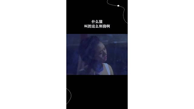 什么猫，叫的这么刺挠啊