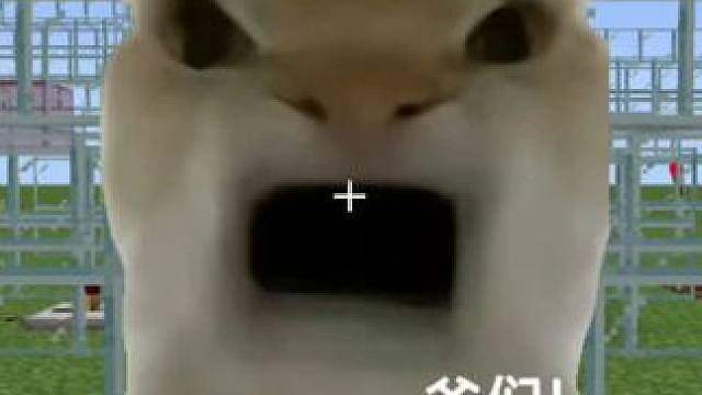 今天我们挑战的是我是爷们