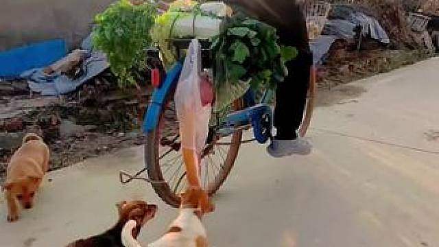 大叔你的肉