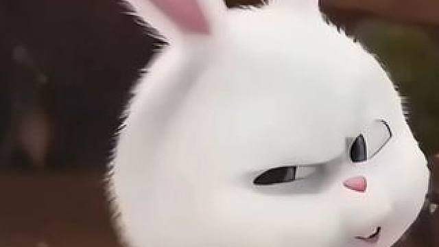 我菜怎么啦！！