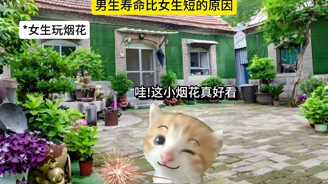 男生寿命比女生短的原因