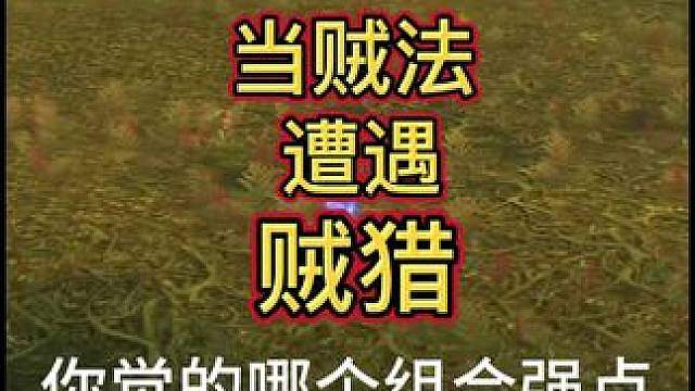 贼法与贼猎！