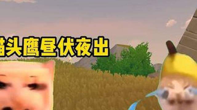 当斑斑大量出没