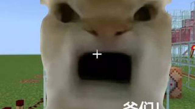 今天我们挑战的是我是爷们也是表弟视角