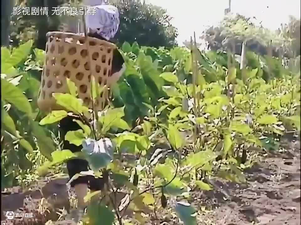 #每日推荐电影 #电影片段剪辑 #好剧推荐 #一起看电影 #一代人的回忆