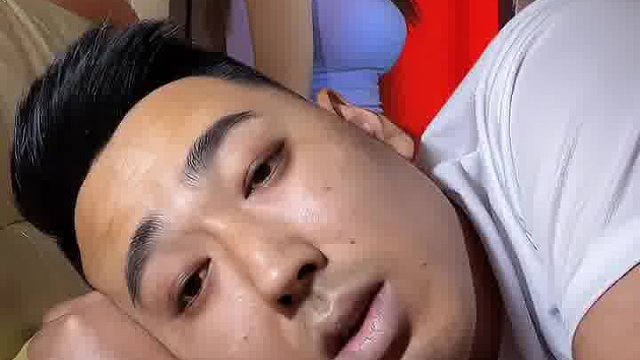 春去花还在，人来鸟不惊