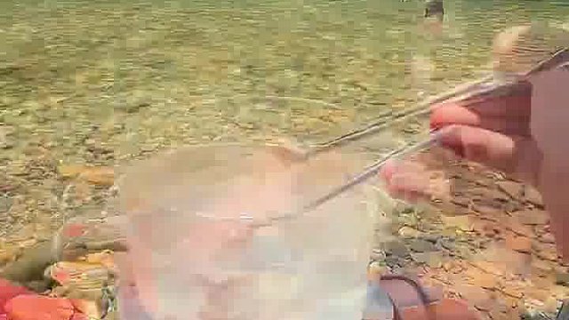 我发布了一个新视频，快来围观吧！
