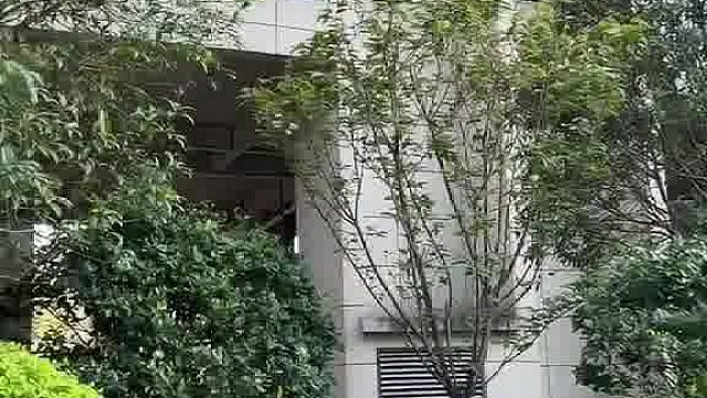 63.房东太可怜了，花了100万买的房，租给我一年才6000，租100年才60万，你们说我要不要给房东涨点房租呀？#搞笑视频