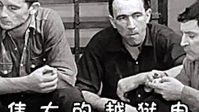 5名犯人策划完美越狱，没成想却是个阴谋的开始《洞》第2段