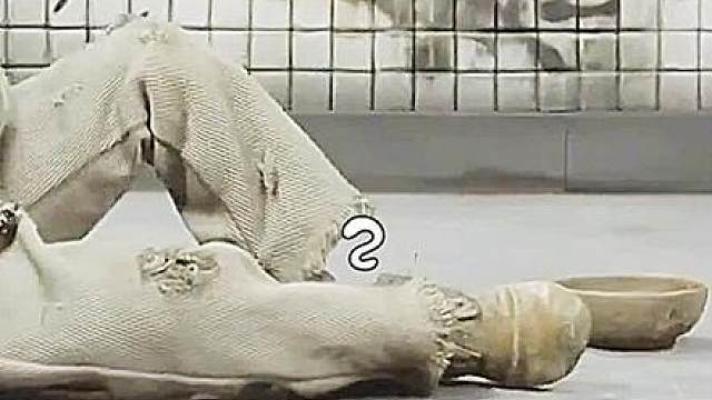 真希望你看不懂这个视频