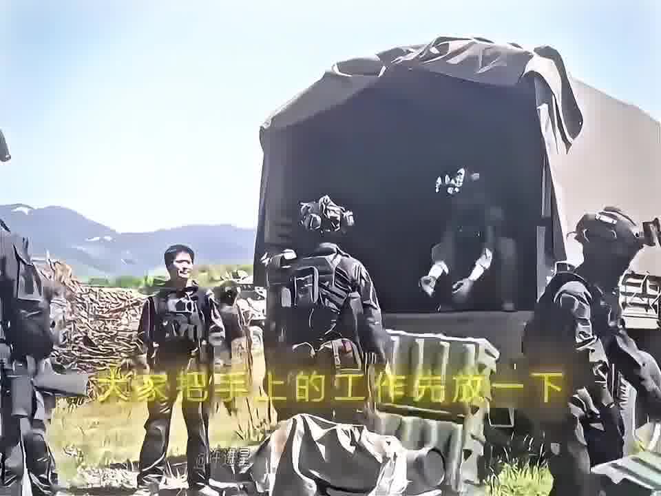 服从命令这一块