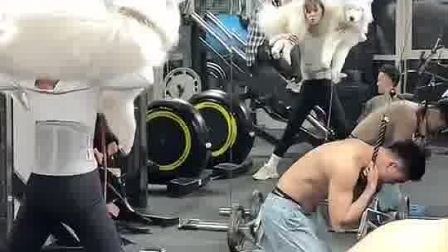 卧龙凤雏的健身房