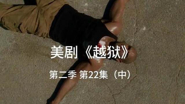 迈克尔跟马宏见面营救林肯
