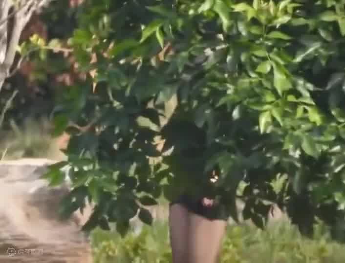 遥遥领先