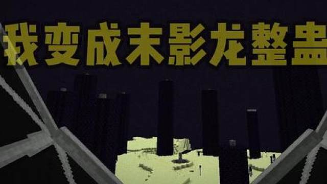 当我变成末影龙整蛊好友！一个末地两条龙？我真没睡醒了！