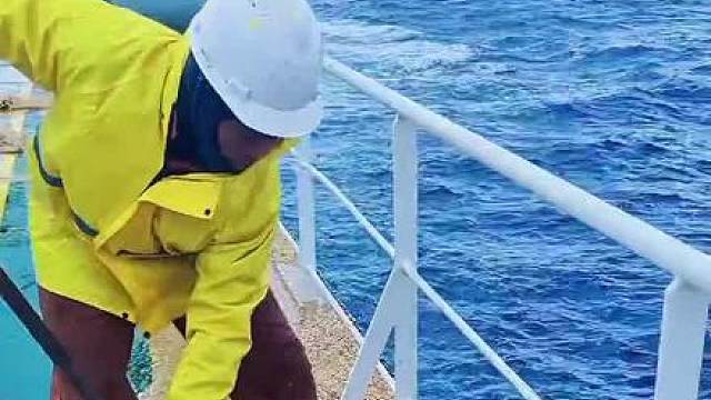 为什么船员要把大豆抛进海里