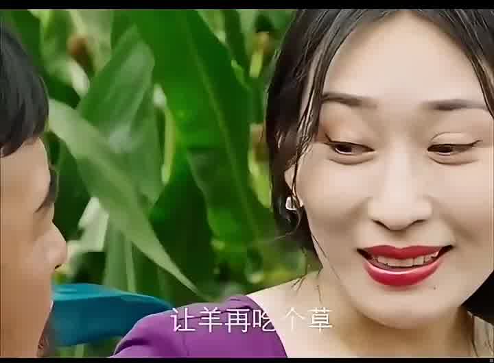 东北的苞米地里承载了多少爱情故事