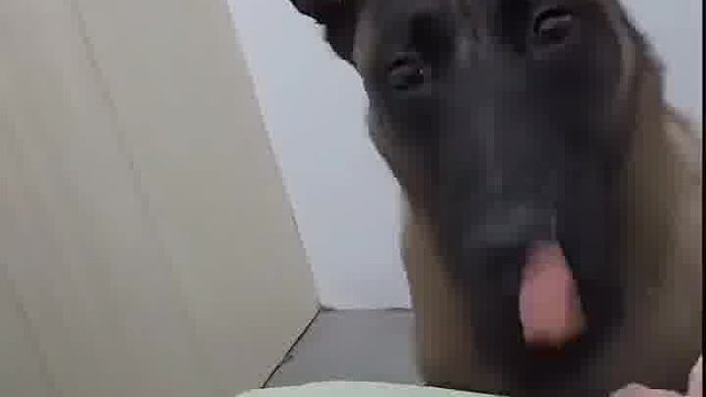 这俩也太有默契了