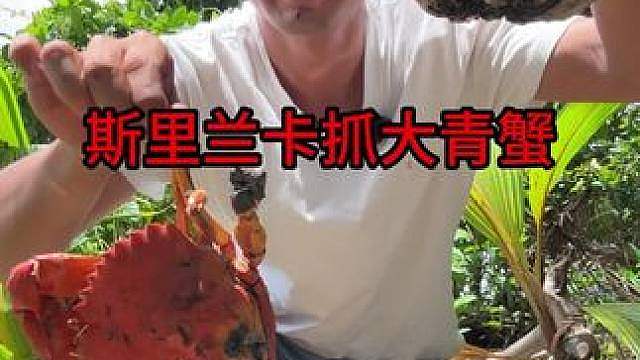 海外生活 斯里兰卡抓大青蟹