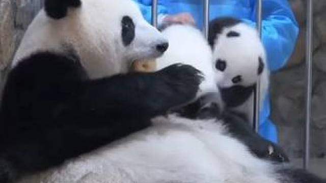 一个苹果就换两个孩子，太合适了