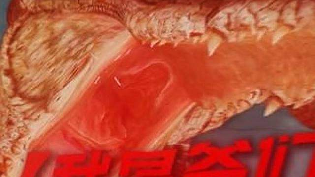 三角洲你看看你家的鳄鱼！！！