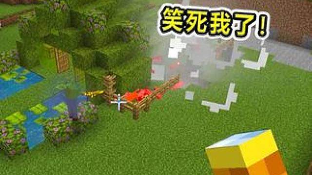 什么是顶级损友！蛙总亲手把自己的猫咪宰了？笑死我了！