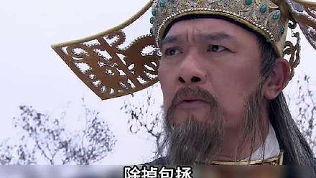 王爷谋反失败，准备行刺包拯