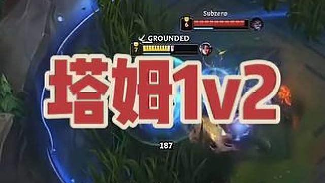 塔姆：没有操作 全是数值！