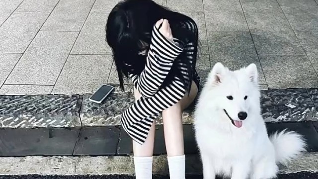 天气 味道 音乐 都是时光机