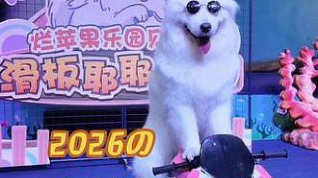 如果星爷！要拍部狗狗电影，能选耶总去拍那多好。
