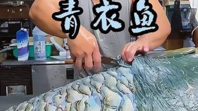 日本人杀一百多斤的青衣鱼做鱼生，去鳞用钳子拔，一个鳞片巴掌大