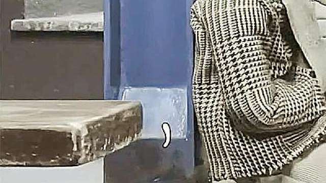 真希望你看不懂这个视频