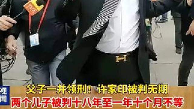 父子一并领刑！许家印被判无期，两个儿子被判十八年至一年十个月不等，没收个人全部财产！