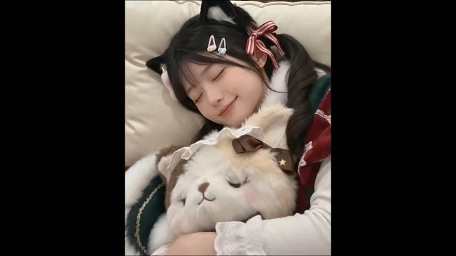 写给小猫的信