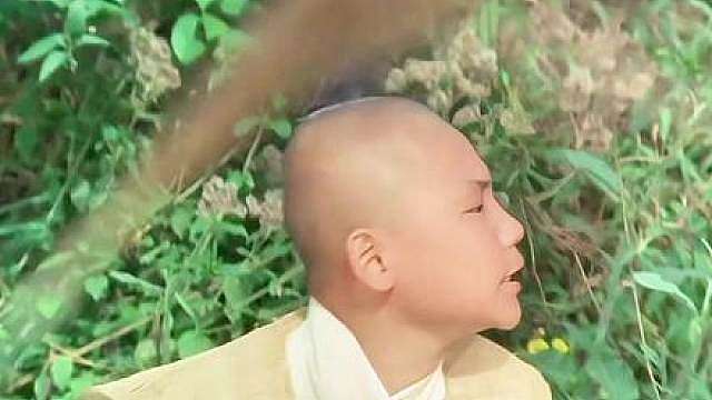 恶霸金少杀害了一名女子，岂料惹到了武林世家，遭到一路追杀