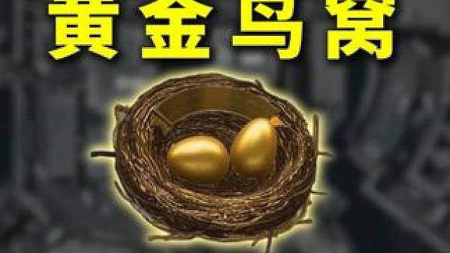 1周年彩蛋黄金鸟窝即将绝版！1分钟带你速通逃课！攻略指南来了 大战场一周年捍卫者成就