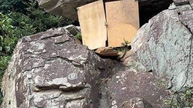 解锁100种淡水鱼图鉴 第8集