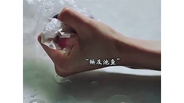 金鱼发声之谜：揭秘谁在为它们发声？#影视剪辑#精彩片段
