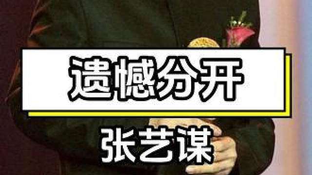 陈婷为张艺谋诞下长子，张一楠长相复刻巩俐，全网震惊