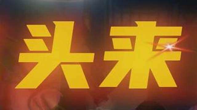 这小博博会飞