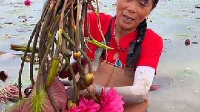 这个花朵大不大你们看